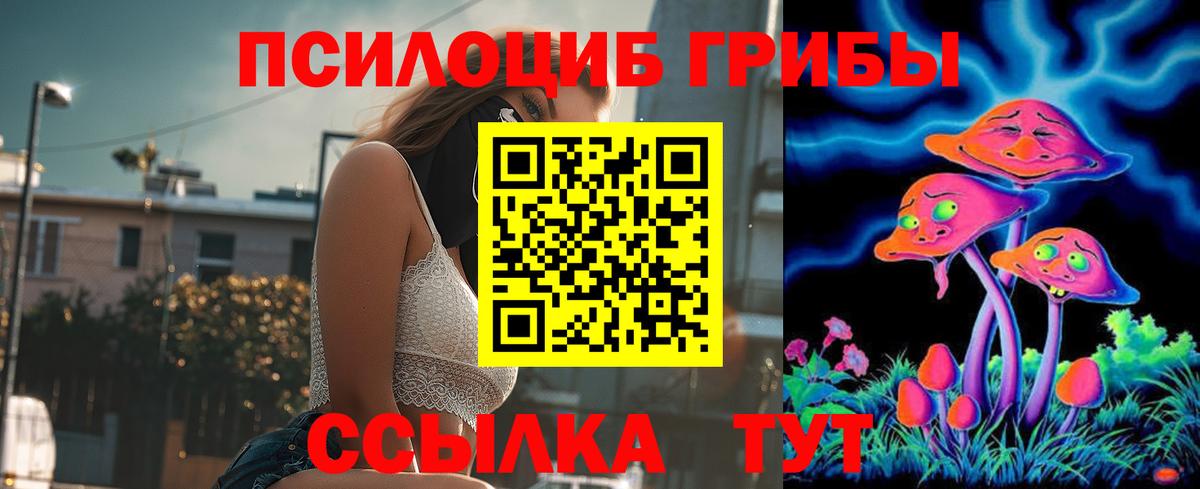 Лыткарино  Галлюциногенные грибы мухоморы  закладка  Вход с VPN 